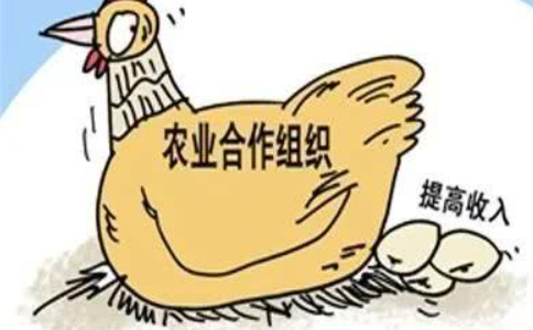 鄭州農(nóng)民專業(yè)合作社注冊流程（完整版）